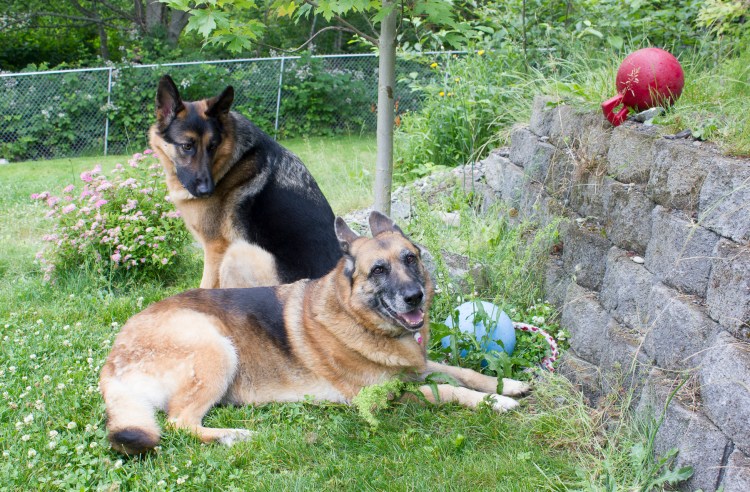 Best Friends Forever