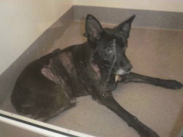 1209132_10151915260581614_729939638_n