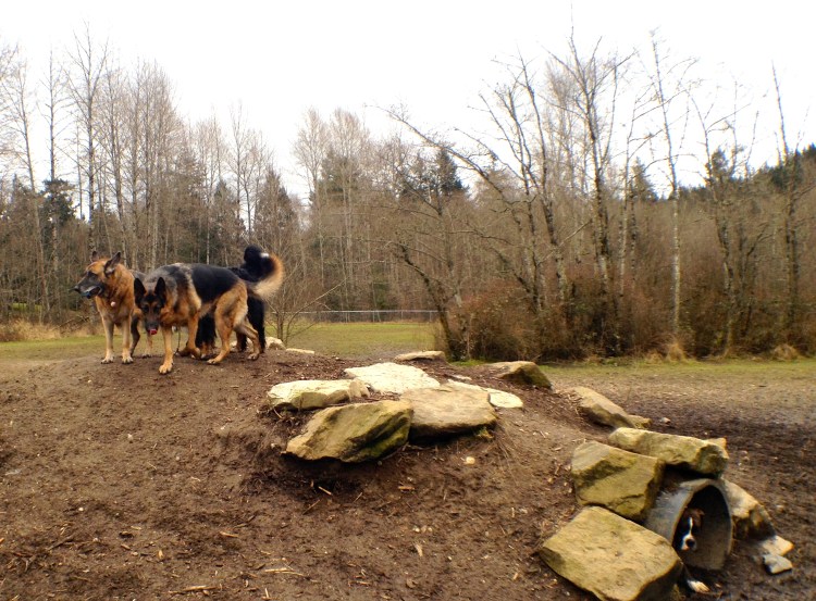 Photo Feb 16, 1 38 02 PM