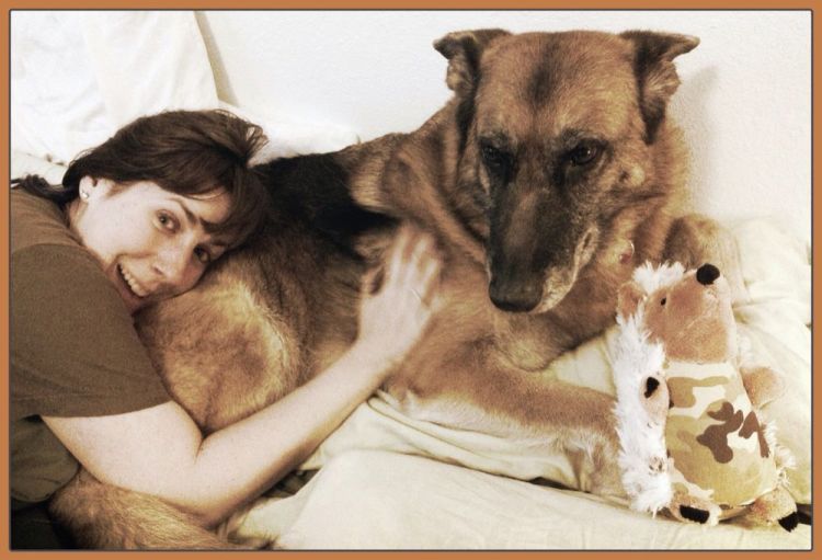 Oh no! Mia's on my pillow! She's trying to dominate me!