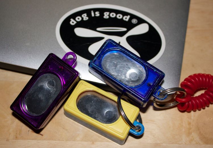 An assortment of clickers collected from our various positive reinforcement classes.