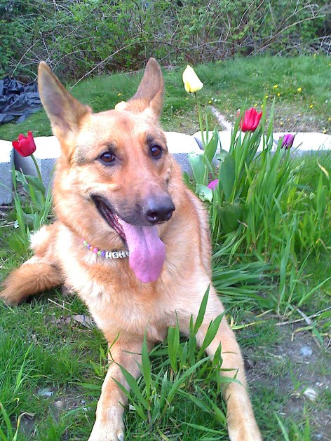 Finding a picture of Isis that hasn't already been used is way harder than telling you what I love about her.