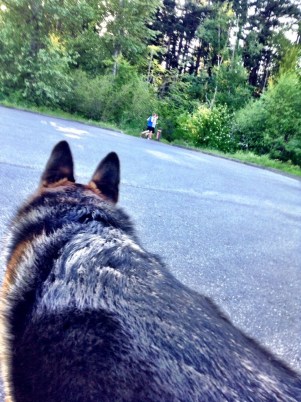 Leo vs. Joggers, May 2014