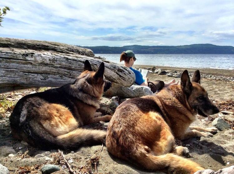 Reading with my pups