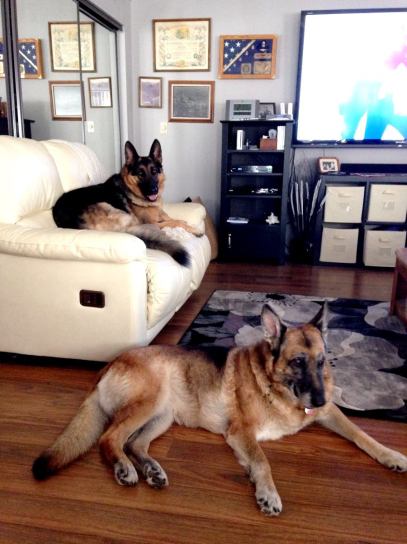 Leo gets his own couch at the grandparents'.