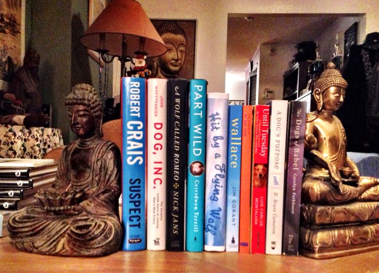 Top 10 books for dog lovers