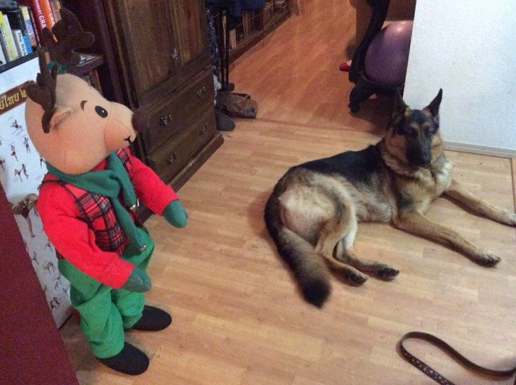 Leo and the reindeer