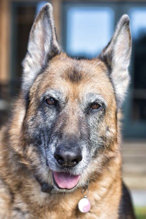 One of the photos we posted on Facebook. Taken by Jolene Hanson for The Crossing Guide.