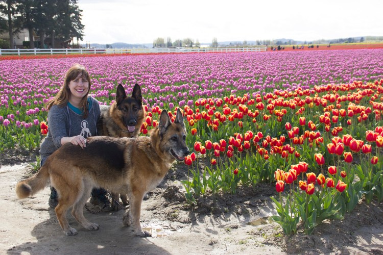 Tiptoe with Two Dogs