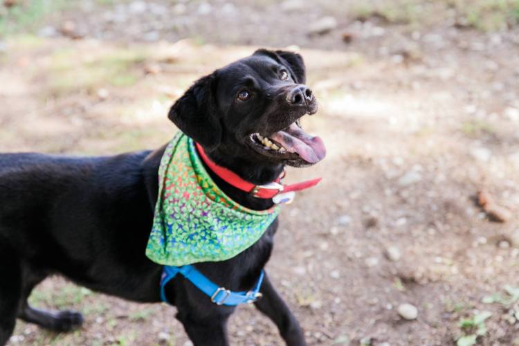 11070026_824203594340265_4060549019393899998_o