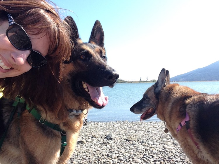 Last beach walk of the summer