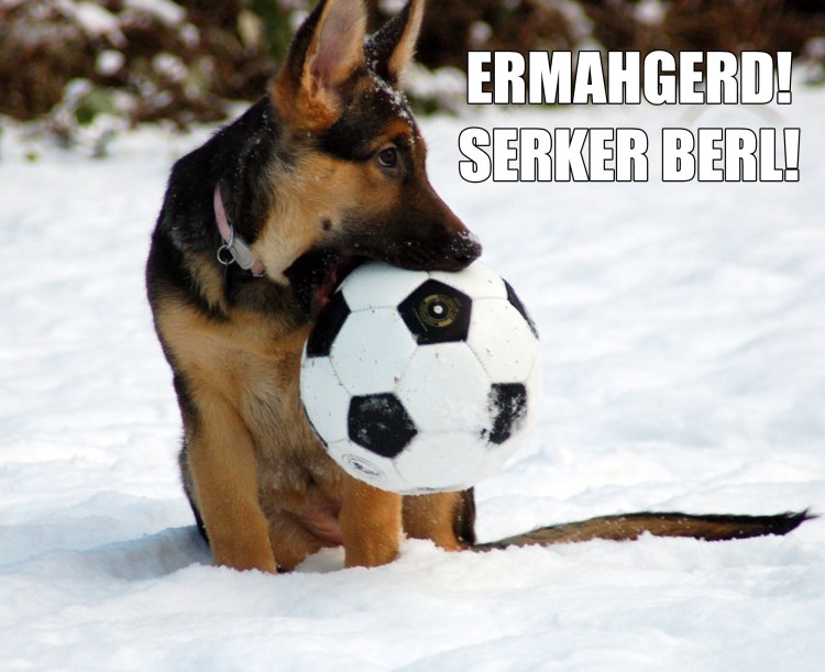 serker