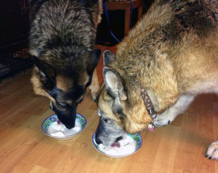 Everyone gets ice cream at my birthday party.