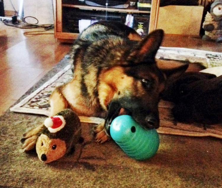 Leo decorated his Pyramid with some scrimshaw (to borrow Theodore's term of art) before he figured out how to get the food out.